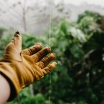 Entretien de jardin : combien coûte l’intervention d’un jardinier ? Entretien de jardin : combien coûte l’intervention d’un jardinier ?